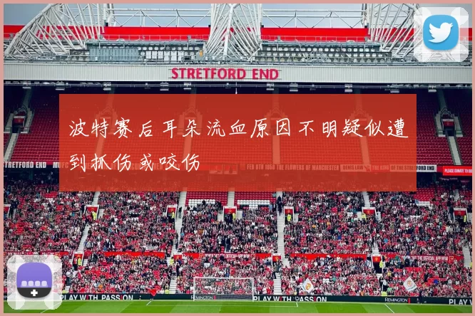波特赛后耳朵流血原因不明疑似遭到抓伤或咬伤
